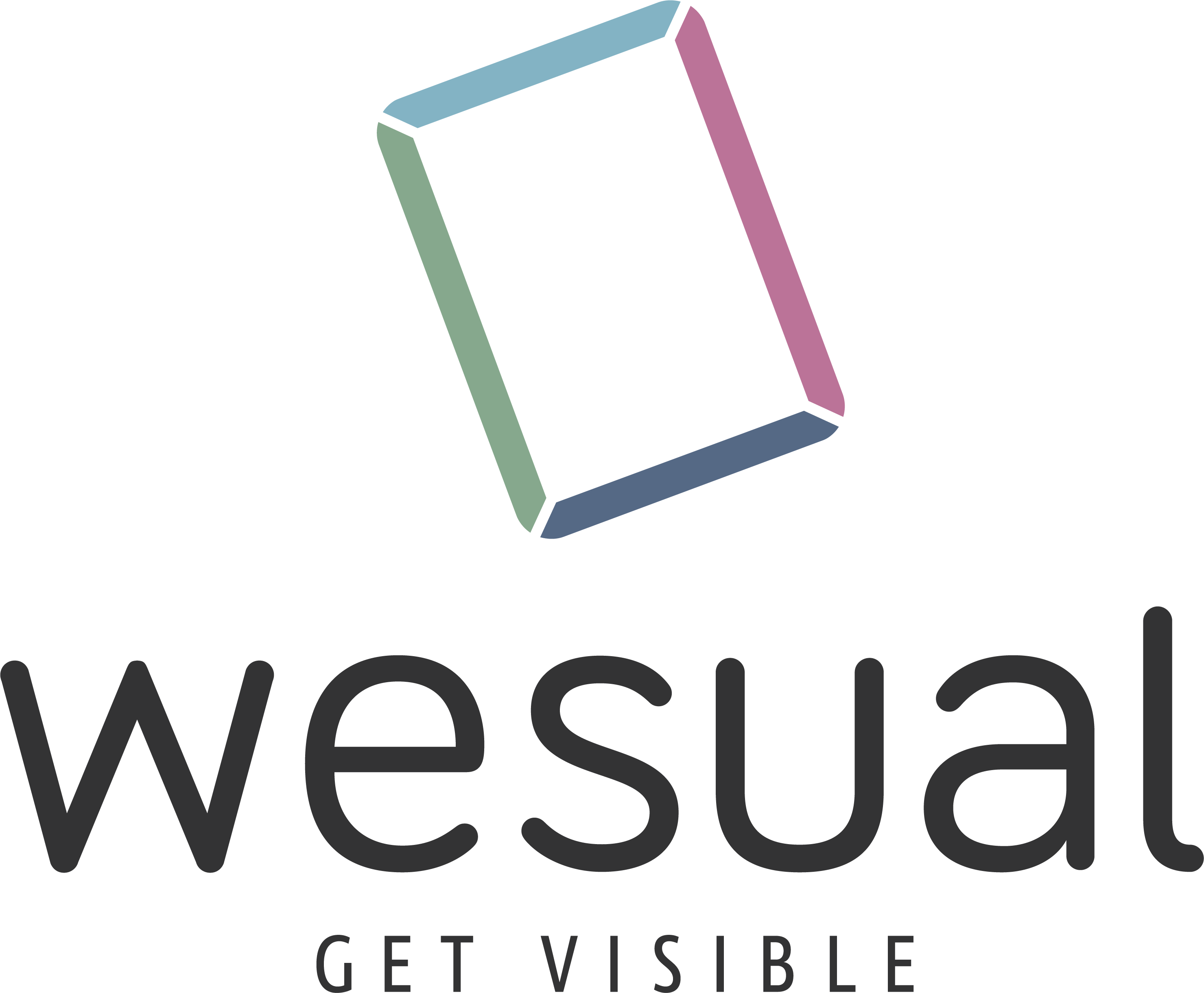 Logo wesual